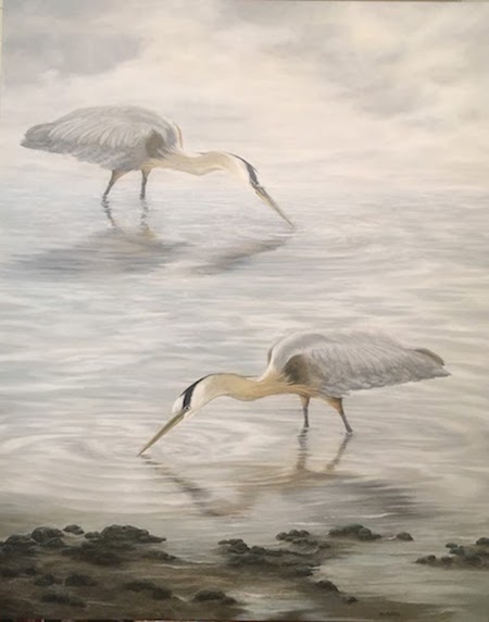 Charleston Egrets